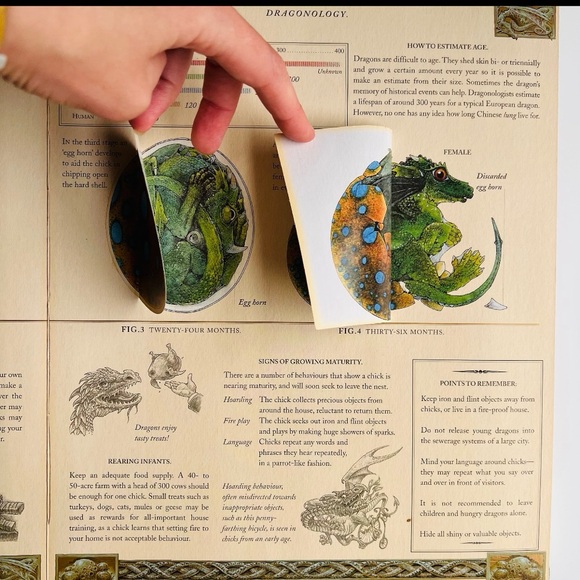 Dragonology The Complete Book of Dragons, Dragon Calling Spell Pop Up Style Book - Picture 10 of 13